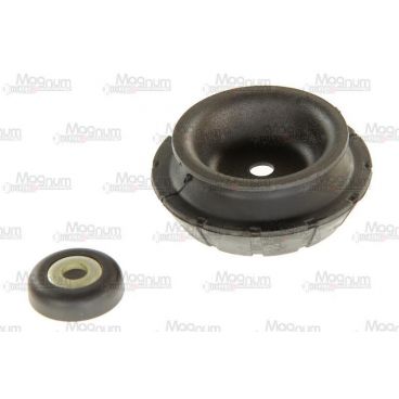 Amortizor suspensie Mc Pherson