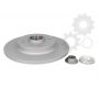 Brake disk with bearing