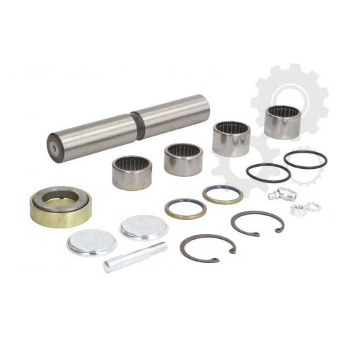 Kit reparatie pivot Kit reparatie pivot
