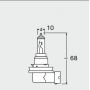 H16 light bulb
