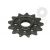 Pinion fata