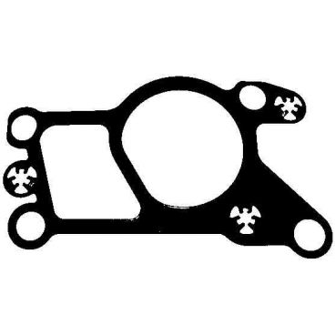 Garnitura supapa EGR