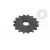 Pinion fata