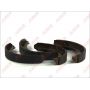 Sabot frana
