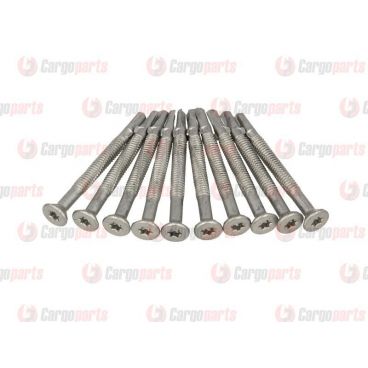 Galvanized screws