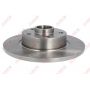 Brake disk with bearing