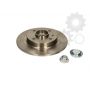 Brake disk with bearing