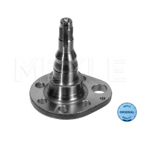 Articulatie axa spate Articulatie axa spate