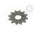 Pinion fata