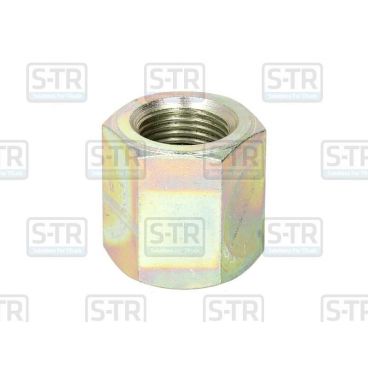 Leaf spring fixing nut