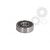 Standard ball bearing
