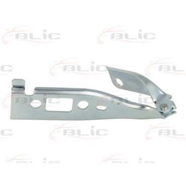 Elemente capota motor