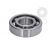 Standard ball bearing