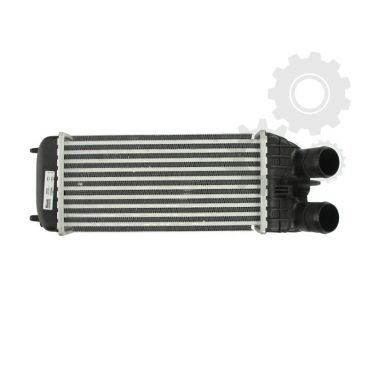 Radiator aer