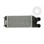 Radiator aer