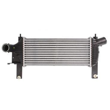 Radiator aer
