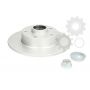 Brake disk with bearing