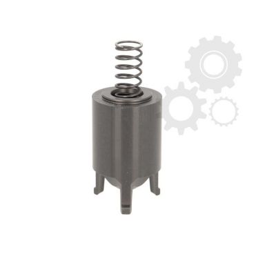 Cylinder piston