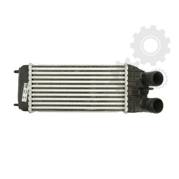 Radiator aer