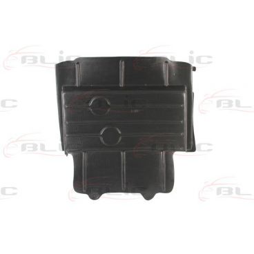 Scut motor/cutie viteze