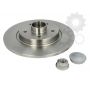 Brake disk with bearing