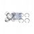 Pinion satelit planetara