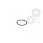 Element unitate de injectie