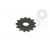Pinion fata