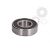 Standard ball bearing