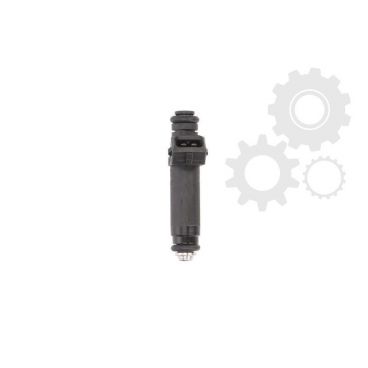 Injector combustibil