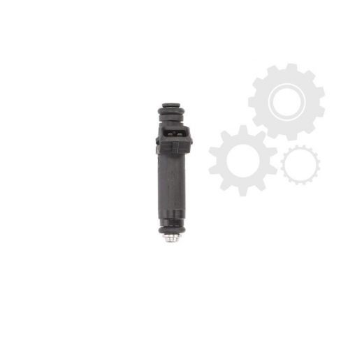 Injector combustibil Injector combustibil