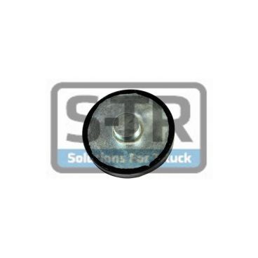 Leaf spring rubber cushion