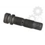 Leaf spring bolt