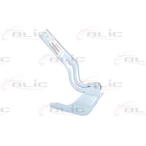 Elemente capota motor Elemente capota motor