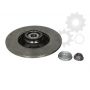 Brake disk with bearing