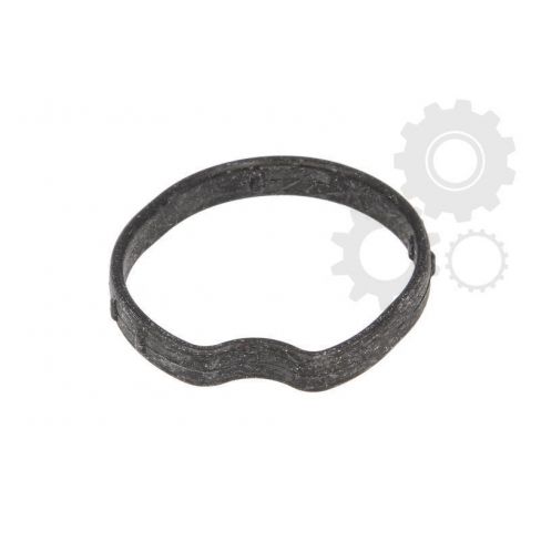 Garnitura capac termostat Garnitura capac termostat