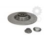 Brake disk with bearing