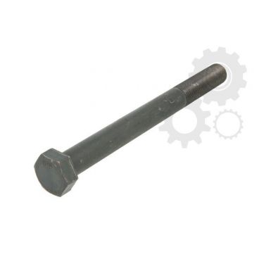 Leaf spring fixing bolt