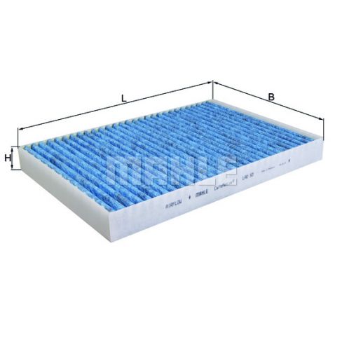 Filtru polen Filtru polen