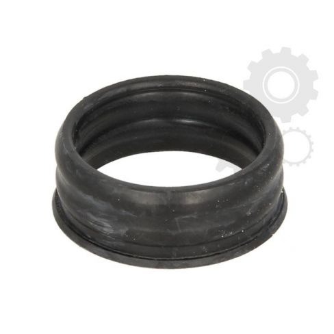 Garnitura pompa apa