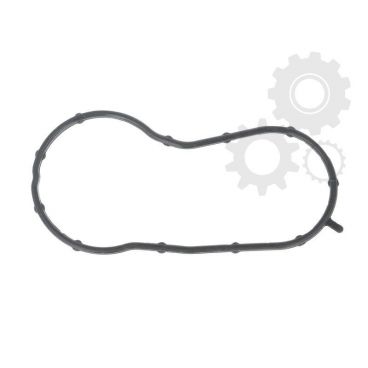 Garnitura capac termostat