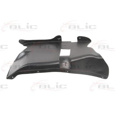 Scut motor/cutie viteze