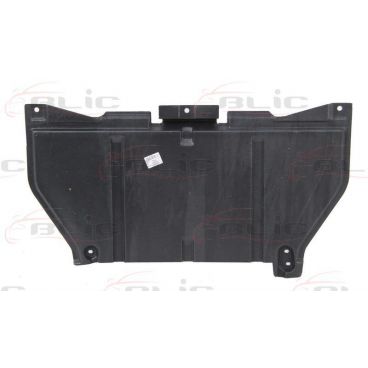 Scut motor/cutie viteze