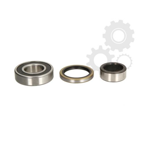 Set rulmenti roata Set rulmenti roata