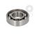 Standard ball bearing