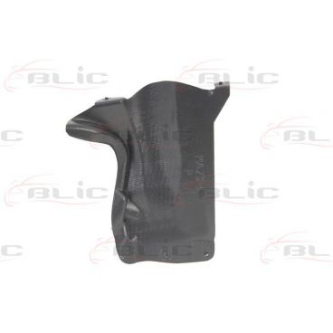 Scut motor/cutie viteze