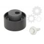 Intinzator curea distributie