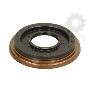 Garnitura ax cardanic/etansare