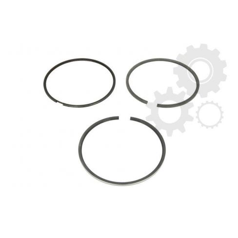 Segmenti piston