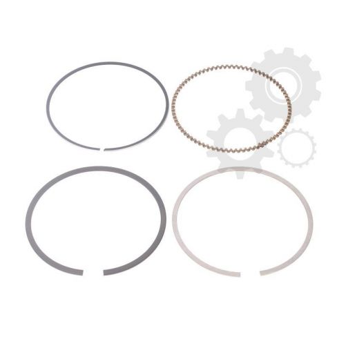 Segmenti piston
